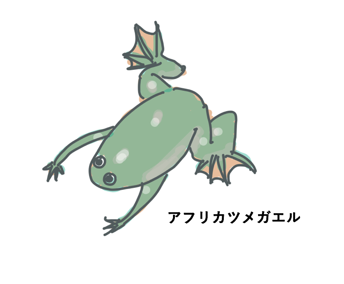 f:id:pioneerboy:20191225151939p:plain