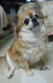 20130317172223