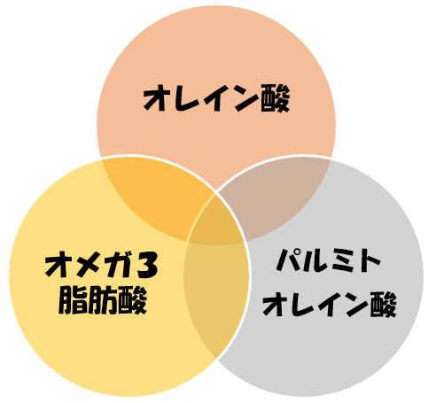 f:id:pipi-diary:20210204165016p:plain