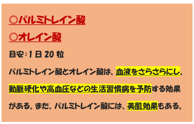 f:id:pipi-diary:20210204165737p:plain