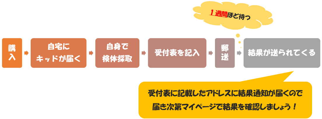 f:id:pipi-diary:20210205133056p:plain