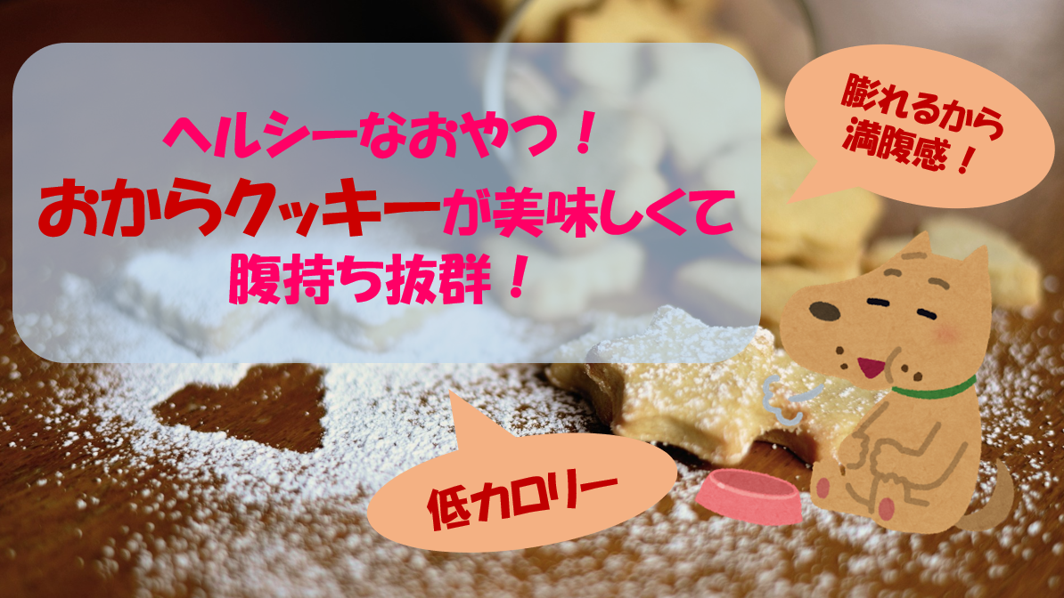 f:id:pipi-diary:20210501232722p:plain