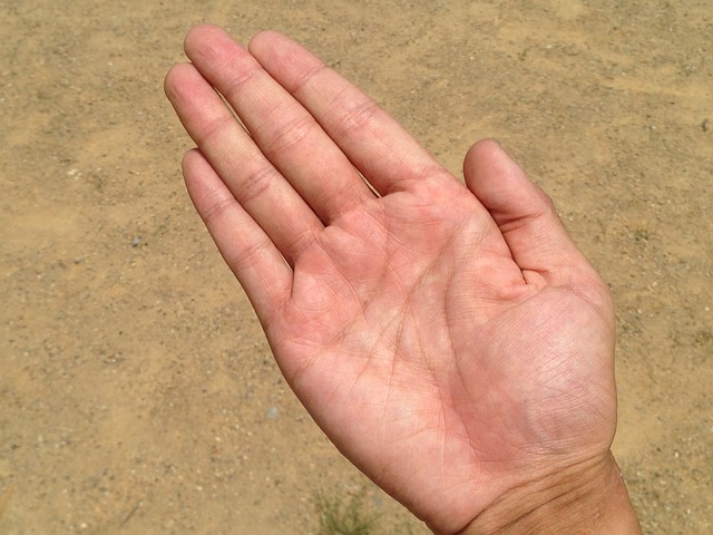 f:id:pipipipika:20201227143706j:plain