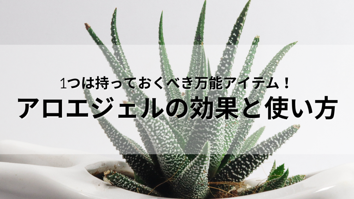 1つは持っておくべき万能アイテム アロエジェルの効果と使い方 ありちゃんの気まぐれブログ