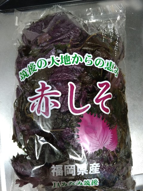 f:id:pipittoyan:20230623132016j:image f:id:pipittoyan:20230623132016j:image