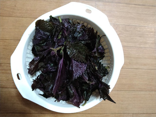 f:id:pipittoyan:20230623133854j:image f:id:pipittoyan:20230623133854j:image