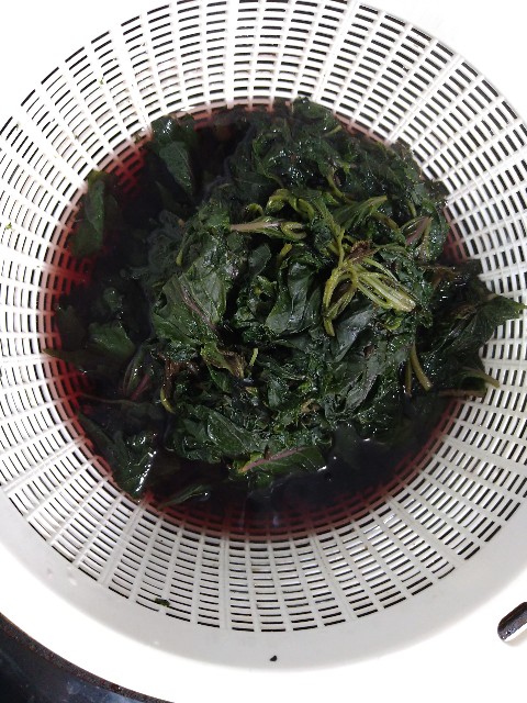 f:id:pipittoyan:20230623143138j:image f:id:pipittoyan:20230623143138j:image