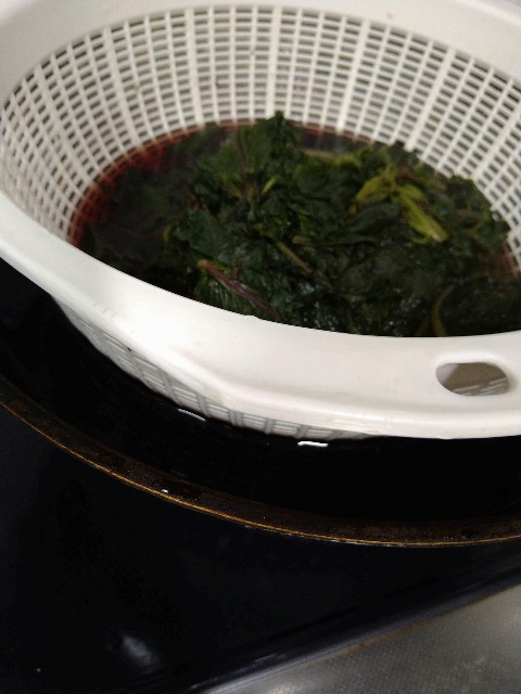 f:id:pipittoyan:20230623143152j:image f:id:pipittoyan:20230623143152j:image