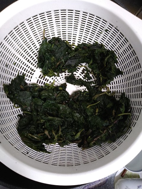 f:id:pipittoyan:20230623143819j:image f:id:pipittoyan:20230623143819j:image