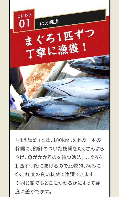 f:id:pipittoyan:20240210095145j:image f:id:pipittoyan:20240210095145j:image