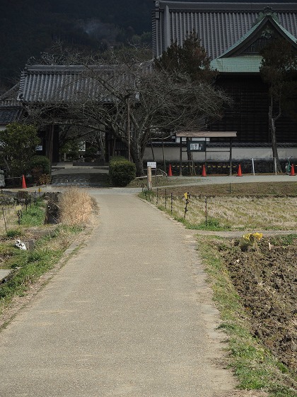 イメージ 12