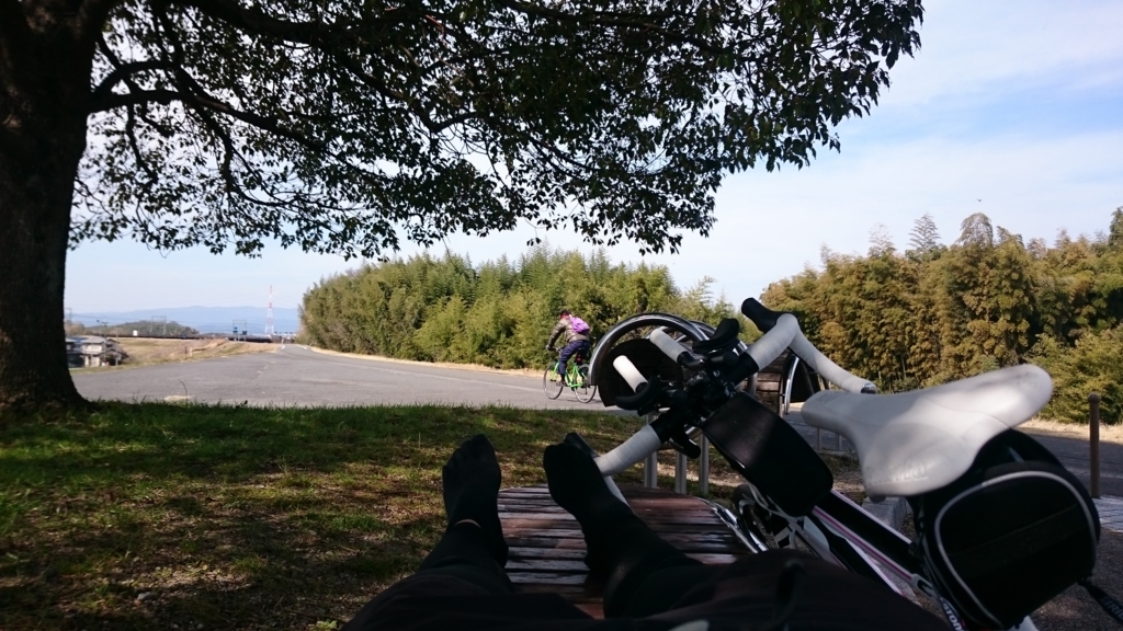 f:id:pippi-wind:20170305092809j:plain