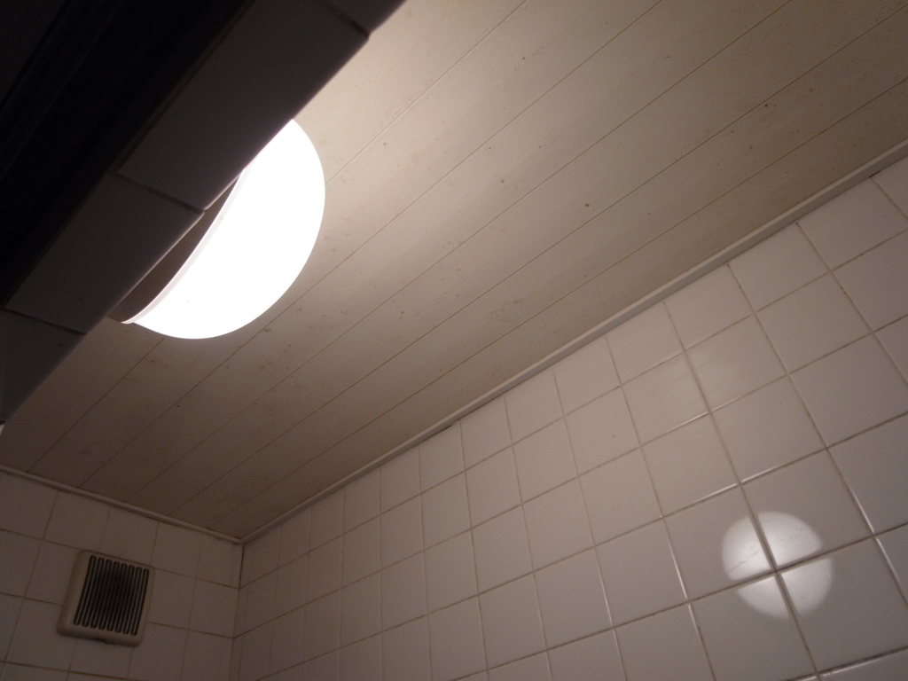 風呂場の天井のカビキラー ピッピ そよ風に乗って