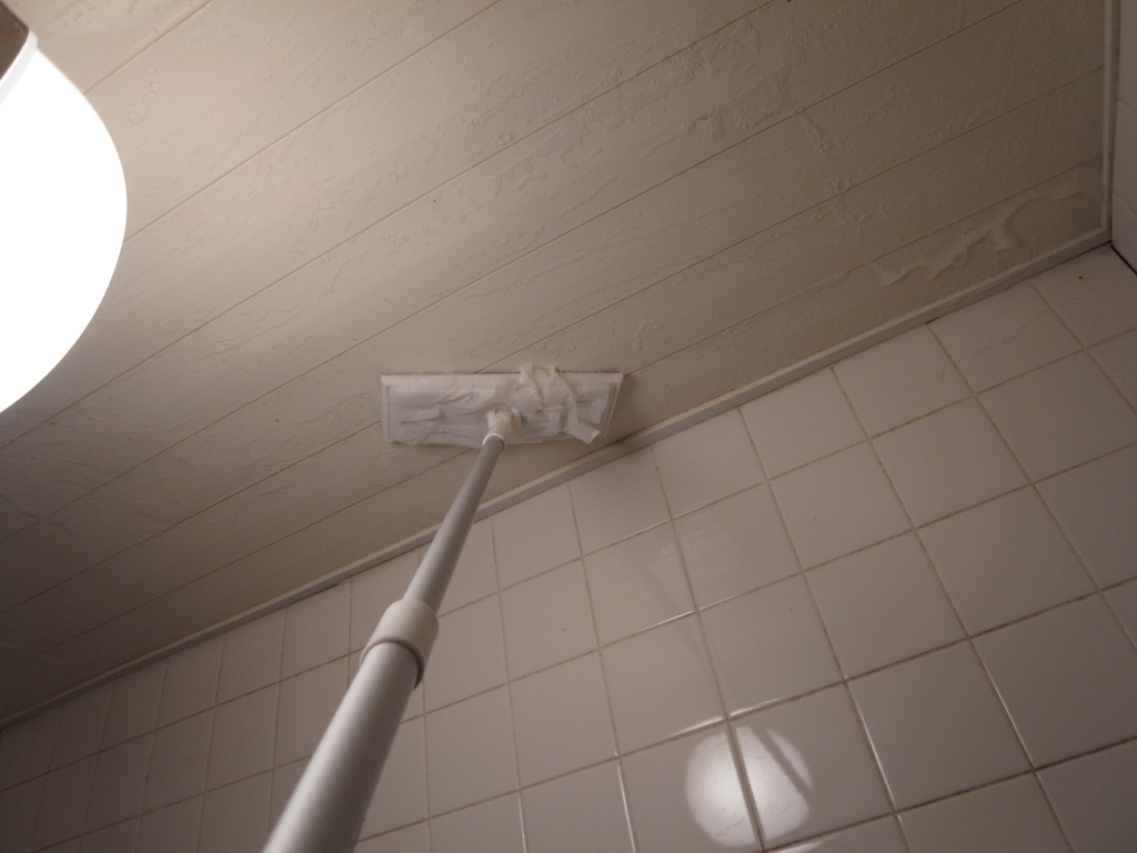 風呂場の天井のカビキラー ピッピ そよ風に乗って