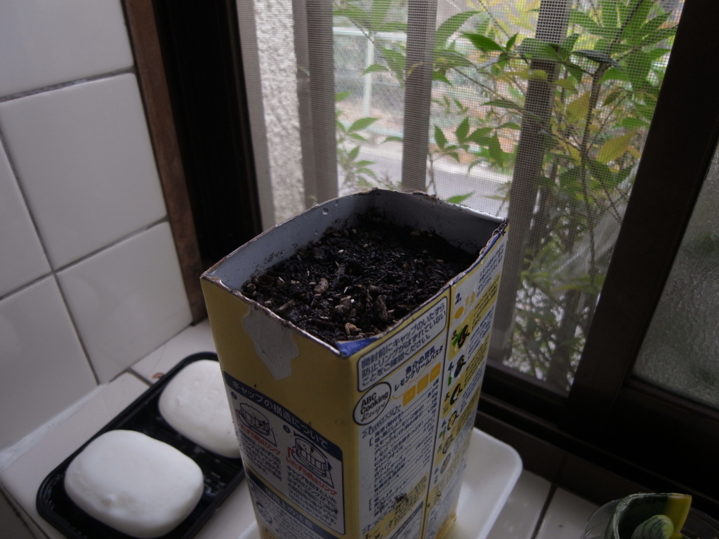 f:id:pippi-wind:20170922084117j:plain f:id:pippi-wind:20170922084117j:plain