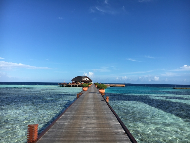 f:id:pippi-wind:20171221184706j:plain