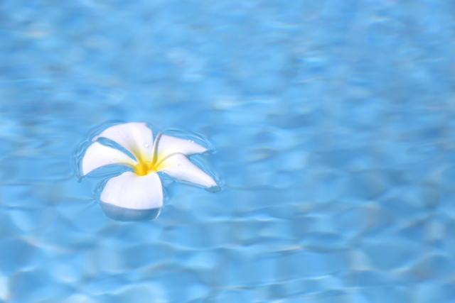 f:id:pippi-wind:20180503180107j:plain f:id:pippi-wind:20180503180107j:plain