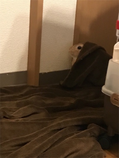 f:id:pippi1231:20190627202340j:image f:id:pippi1231:20190627202340j:image