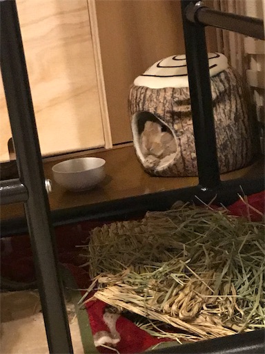 f:id:pippi1231:20190628170743j:image f:id:pippi1231:20190628170743j:image