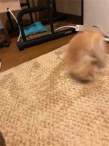 f:id:pippi1231:20190630215637j:image f:id:pippi1231:20190630215637j:image