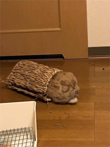 f:id:pippi1231:20190706195645j:image f:id:pippi1231:20190706195645j:image