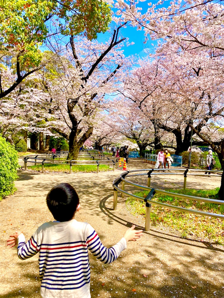f:id:pippichn:20230402074055j:image