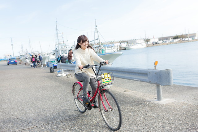 f:id:pippikana:20190114210058j:plain