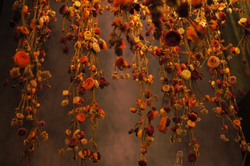 f:id:pippils:20180329152145j:plain