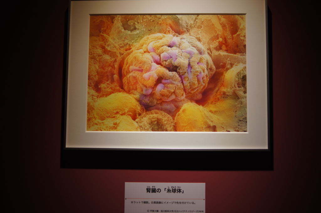 f:id:pippils:20180617210910j:plain