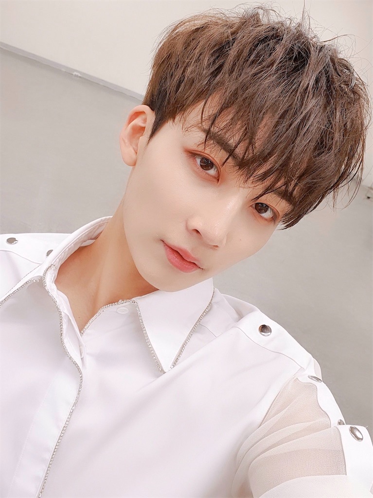 SEVENTEENのメンバーを紹介したい - 自由へ道連れ