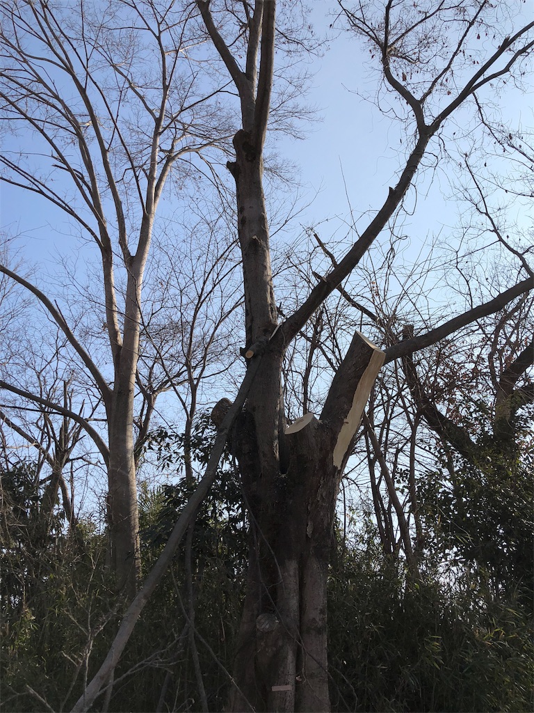 f:id:pippirail:20180120133355j:image f:id:pippirail:20180120133355j:image
