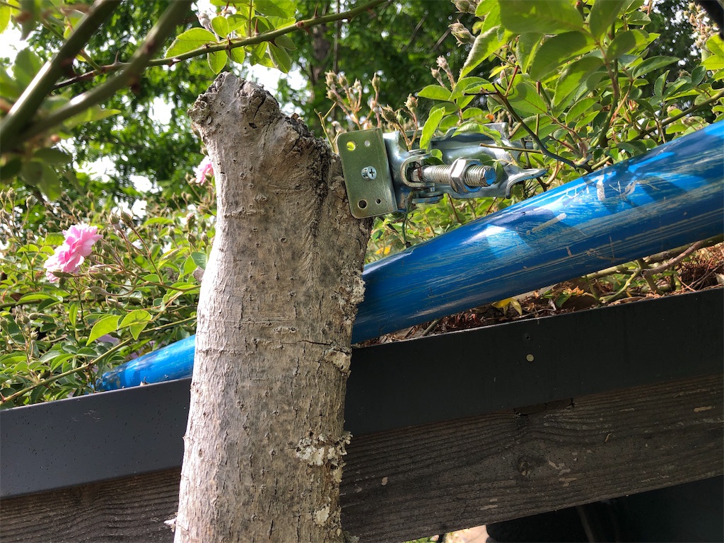 f:id:pippirail:20190518152207j:image