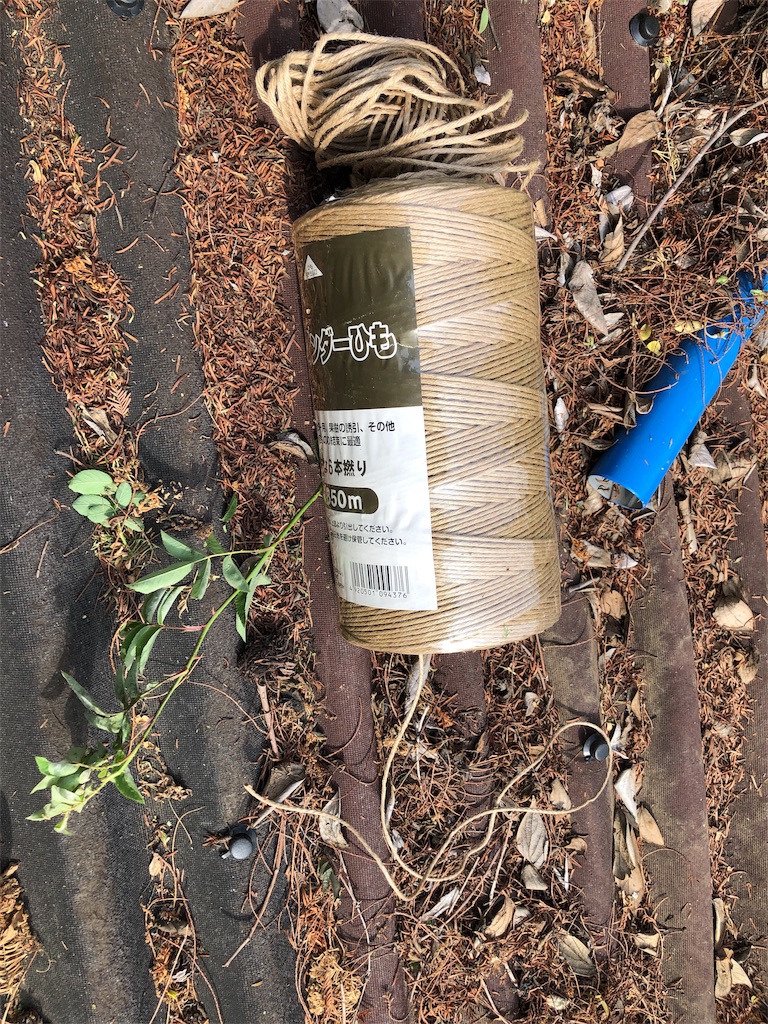 f:id:pippirail:20190518155811j:image