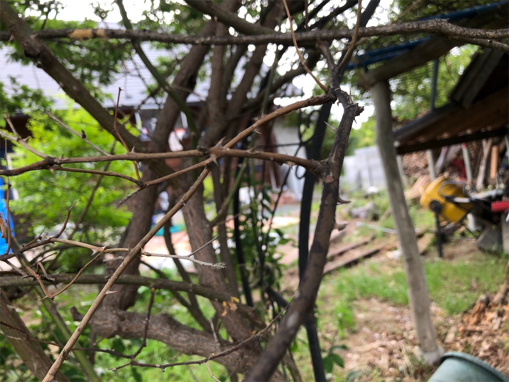 f:id:pippirail:20190518163117j:image