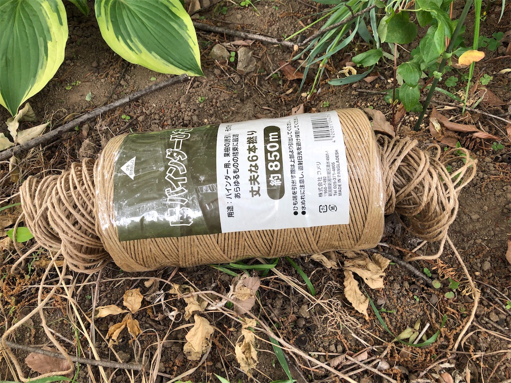 f:id:pippirail:20190518163809j:image