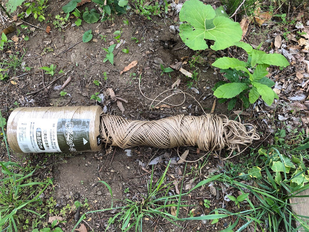 f:id:pippirail:20190518165104j:image