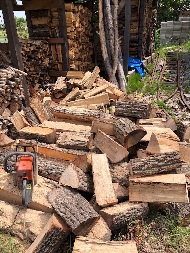 f:id:pippirail:20190522094040j:image