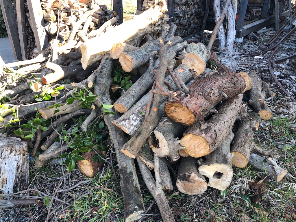 f:id:pippirail:20200131093215j:image