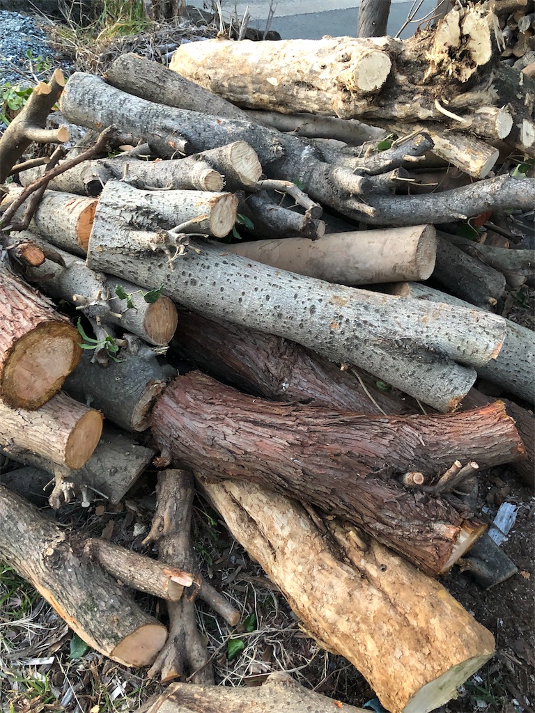 f:id:pippirail:20200131093252j:image