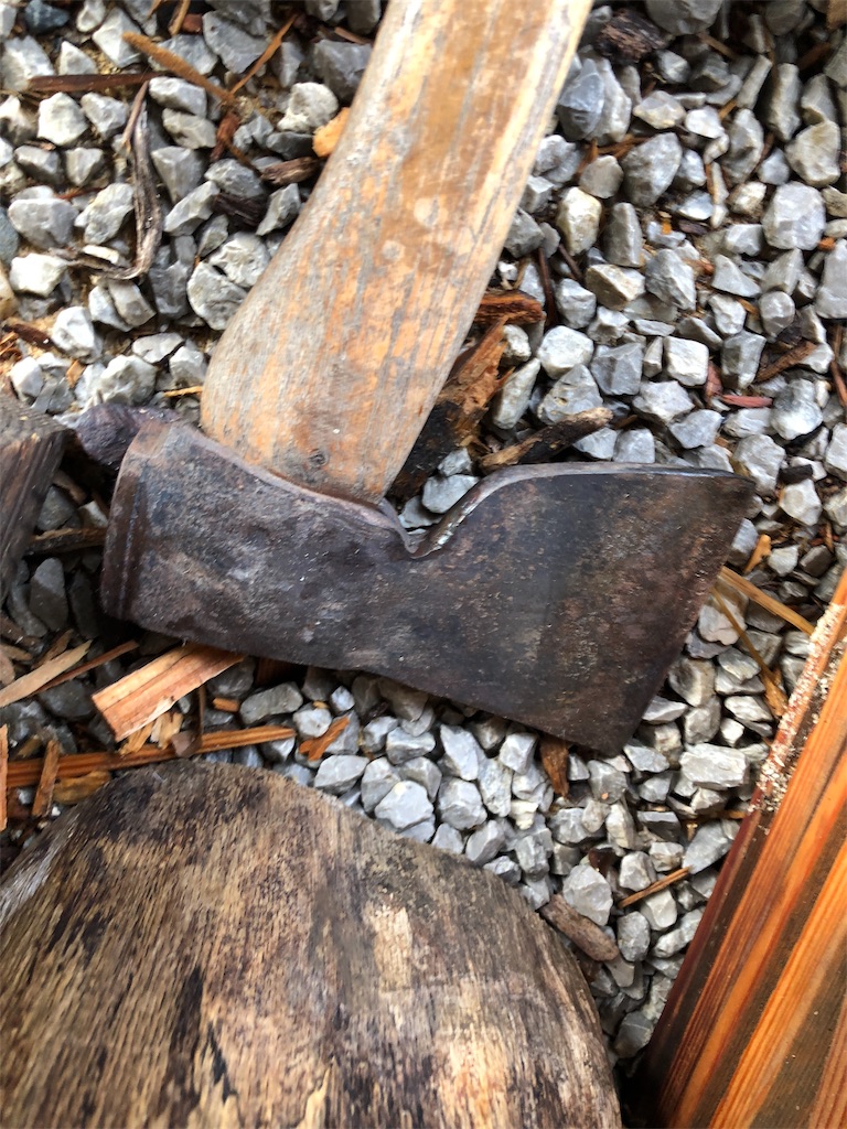 f:id:pippirail:20200131093255j:image