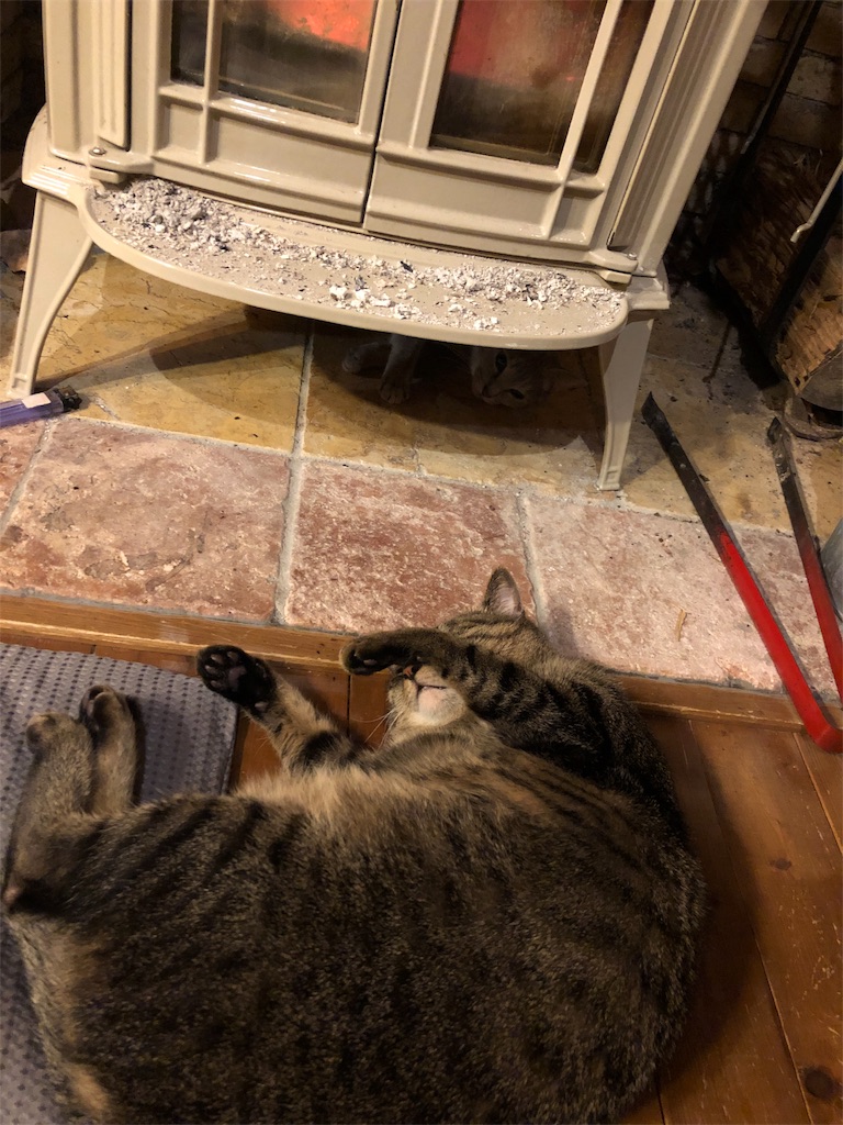 f:id:pippirail:20200203104135j:image