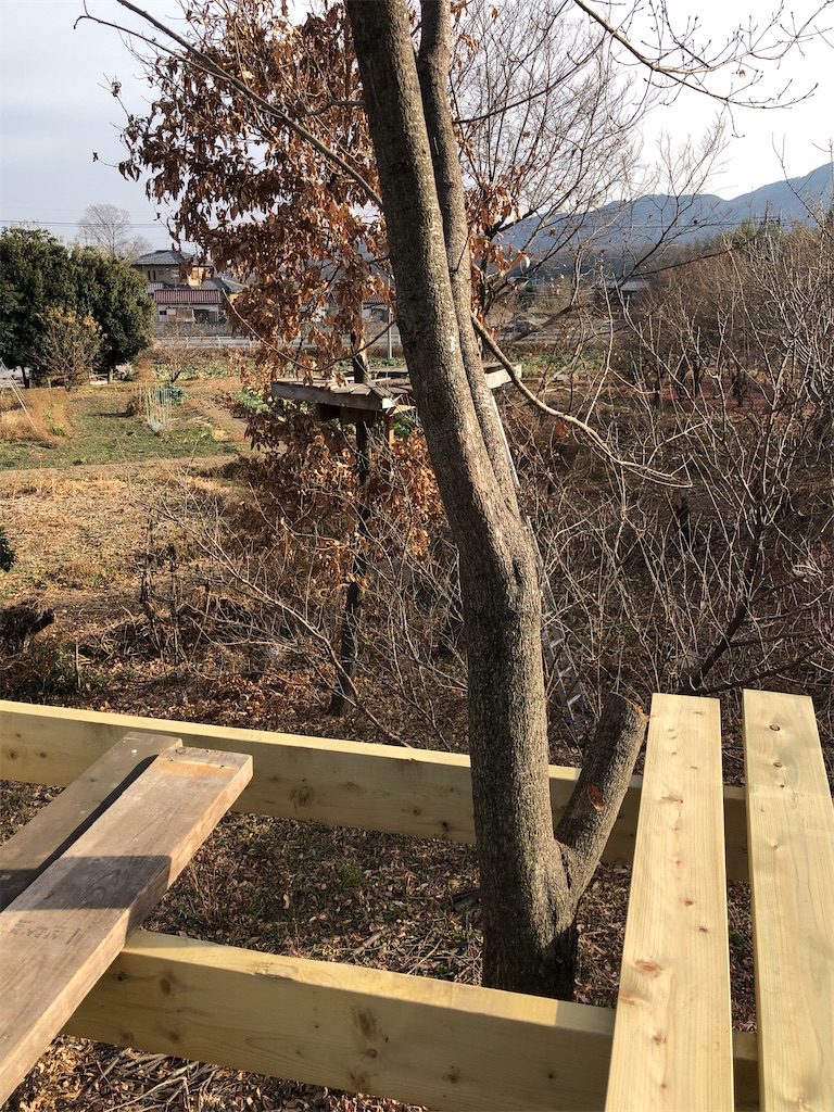 f:id:pippirail:20210209155116j:plain