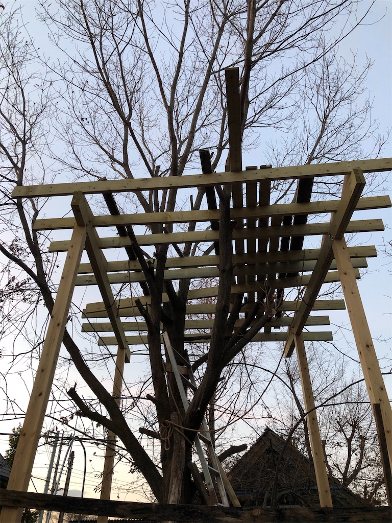 f:id:pippirail:20210209155120j:plain