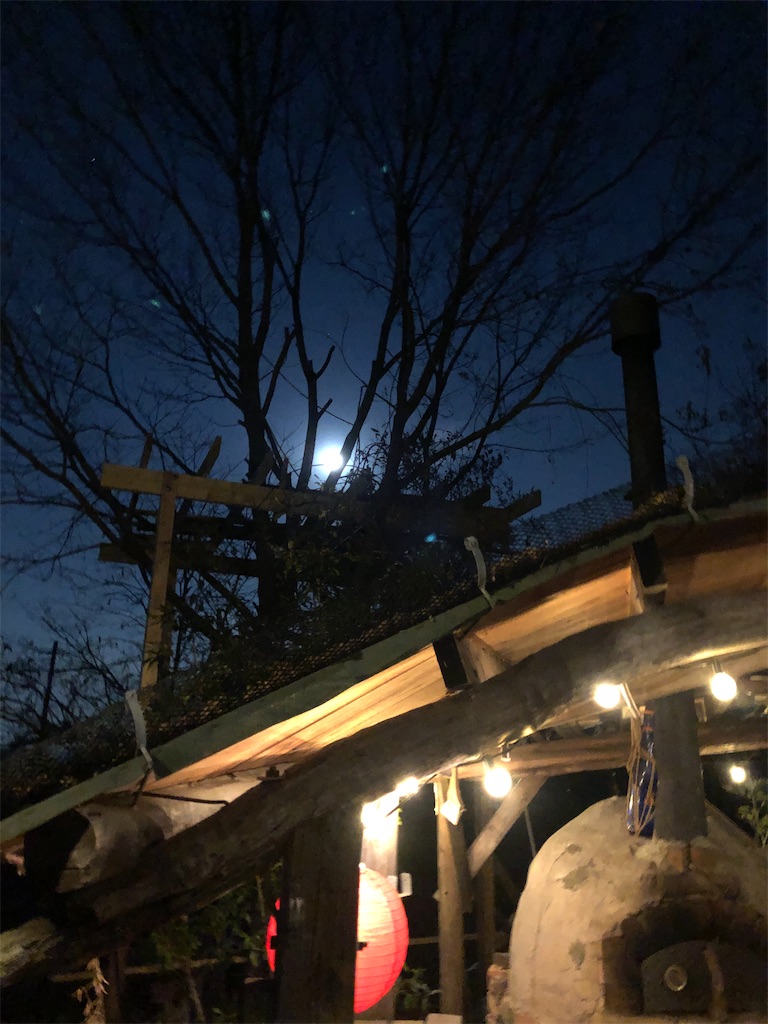 f:id:pippirail:20210209155131j:plain