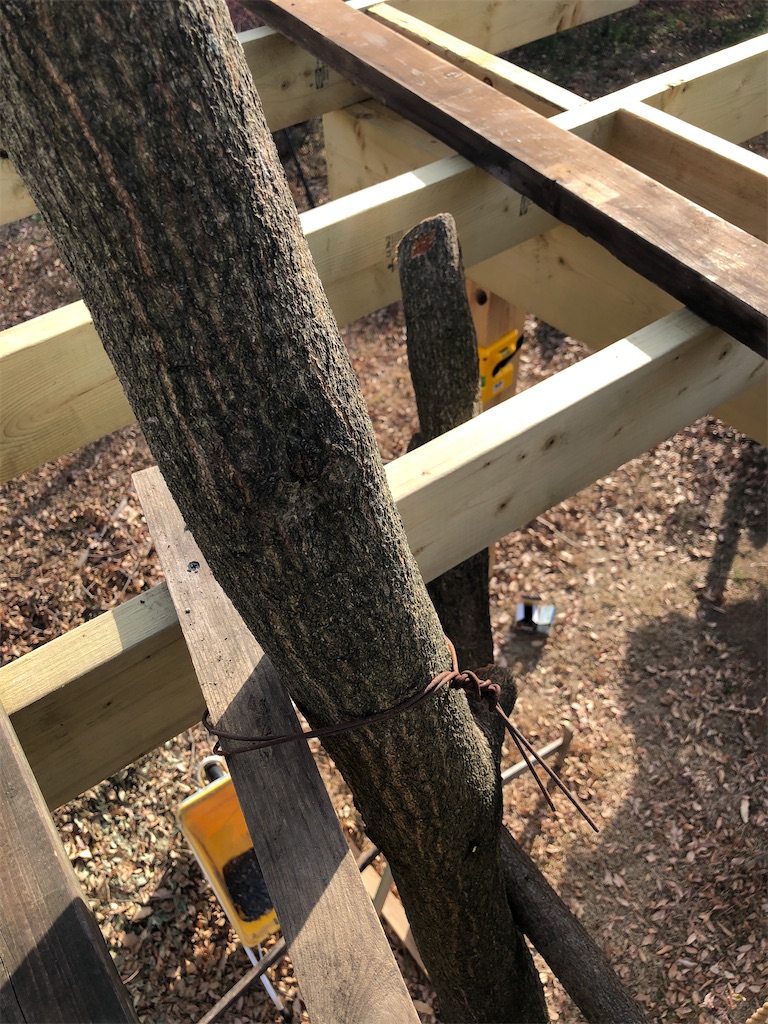 f:id:pippirail:20210209155135j:plain