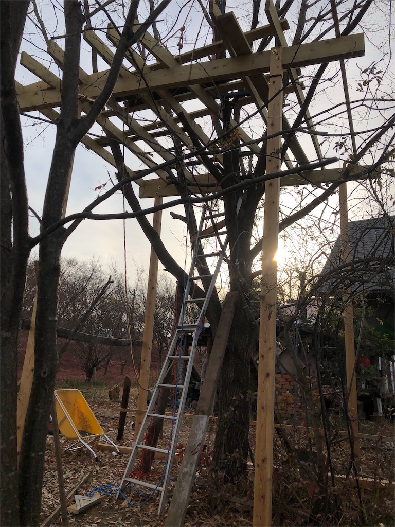 f:id:pippirail:20210209155140j:plain