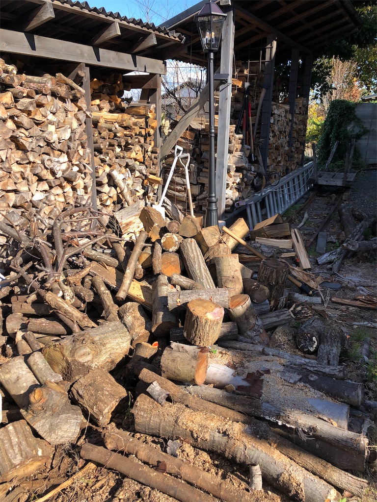 f:id:pippirail:20211214052344j:plain