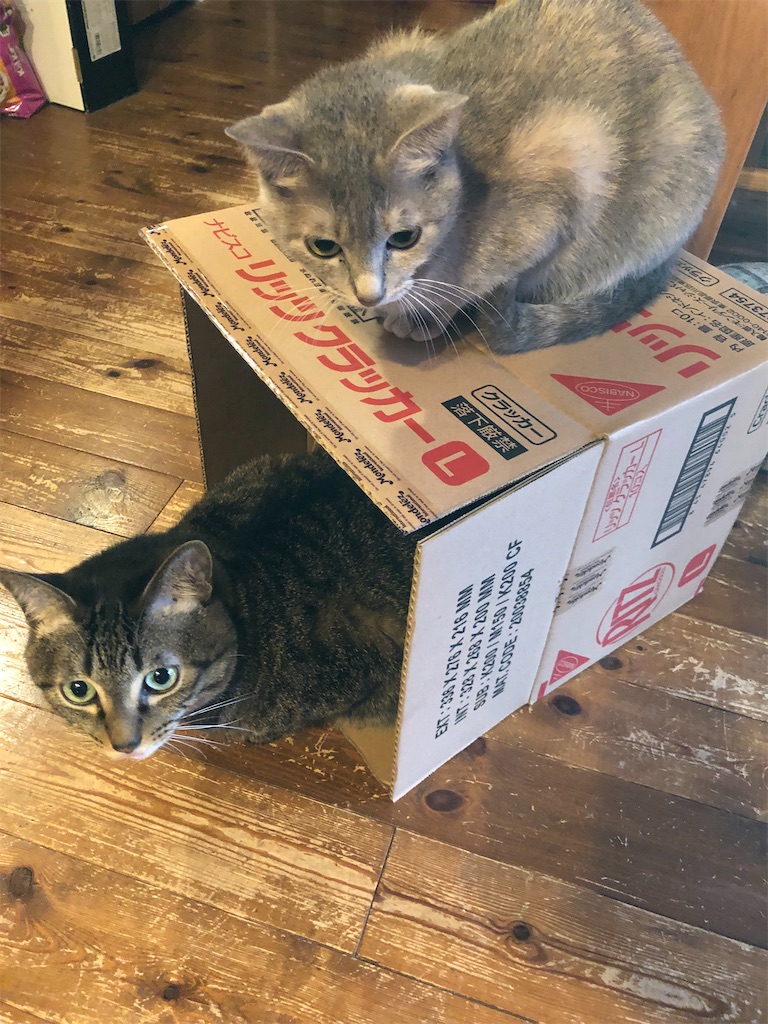 f:id:pippirail:20211214052349j:plain