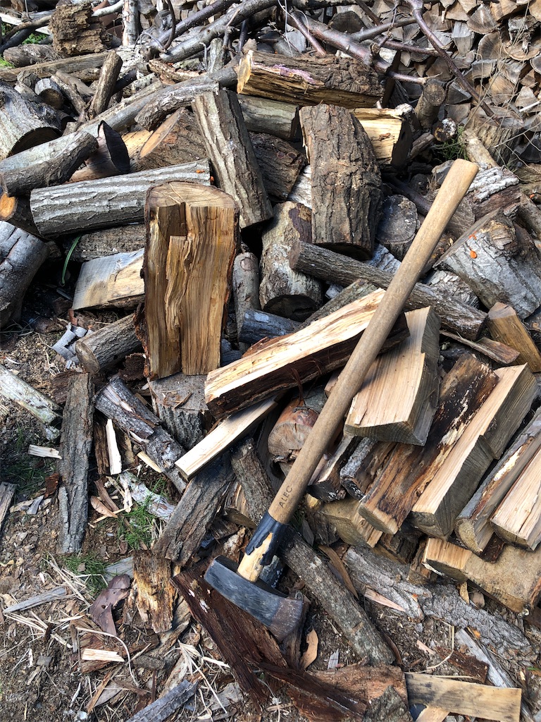 f:id:pippirail:20211214052351j:plain