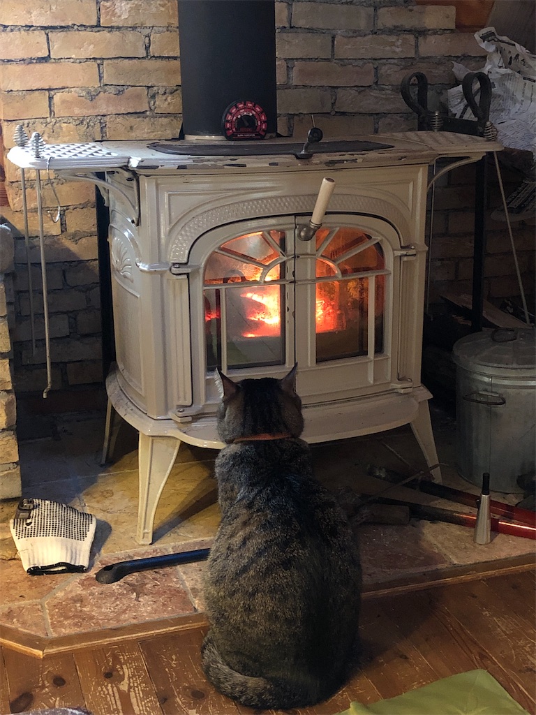 f:id:pippirail:20211214052357j:plain